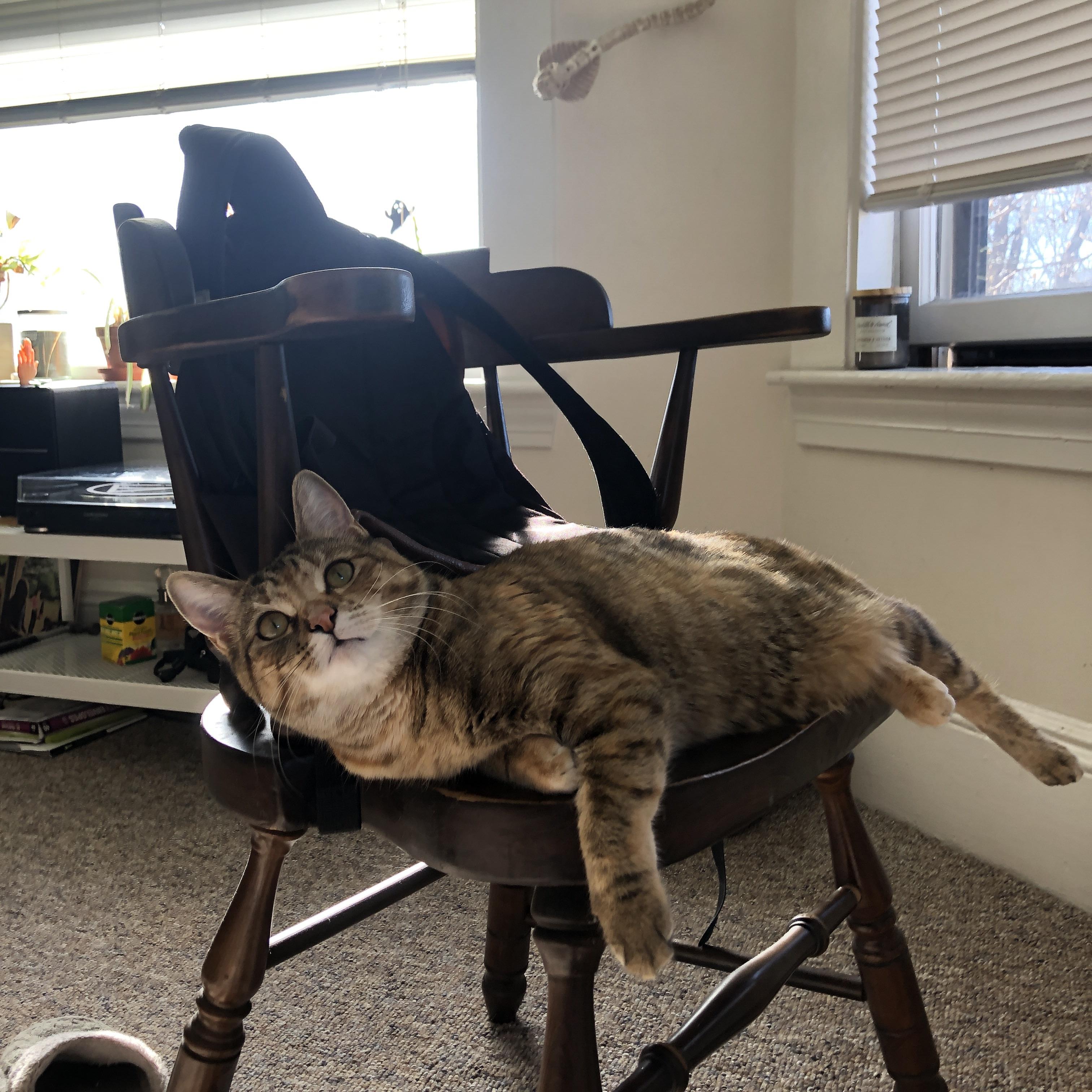 破咒之战！奥利维耶一传一射统治全场，荷兰历史性力克葡萄牙