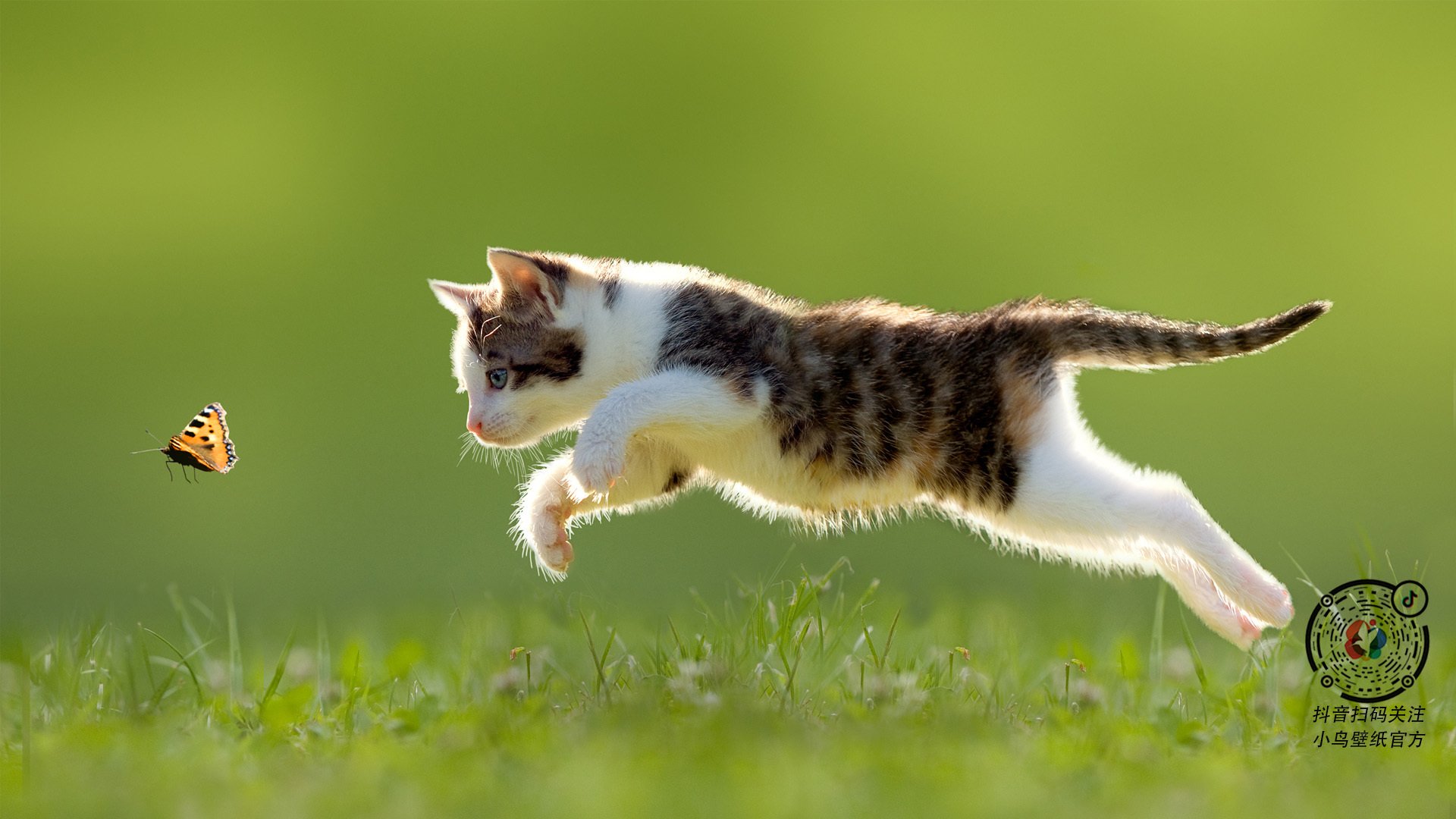 新一代内线革命与老派王权的对话，切特的转换艺术与湖人末节密码