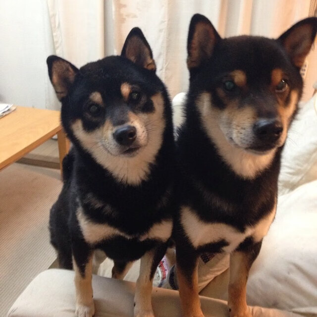 爱游戏官方-王者之心，当窒息时刻锤炼出非偶然的伟大