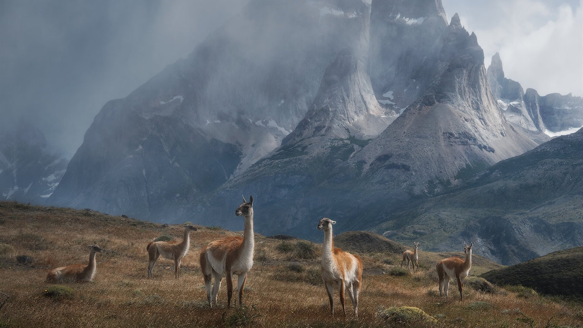 爱游戏官方入口-皮克时刻，一脚定江山！钢铁防线崩溃夜，他主宰德国杯史诗之战