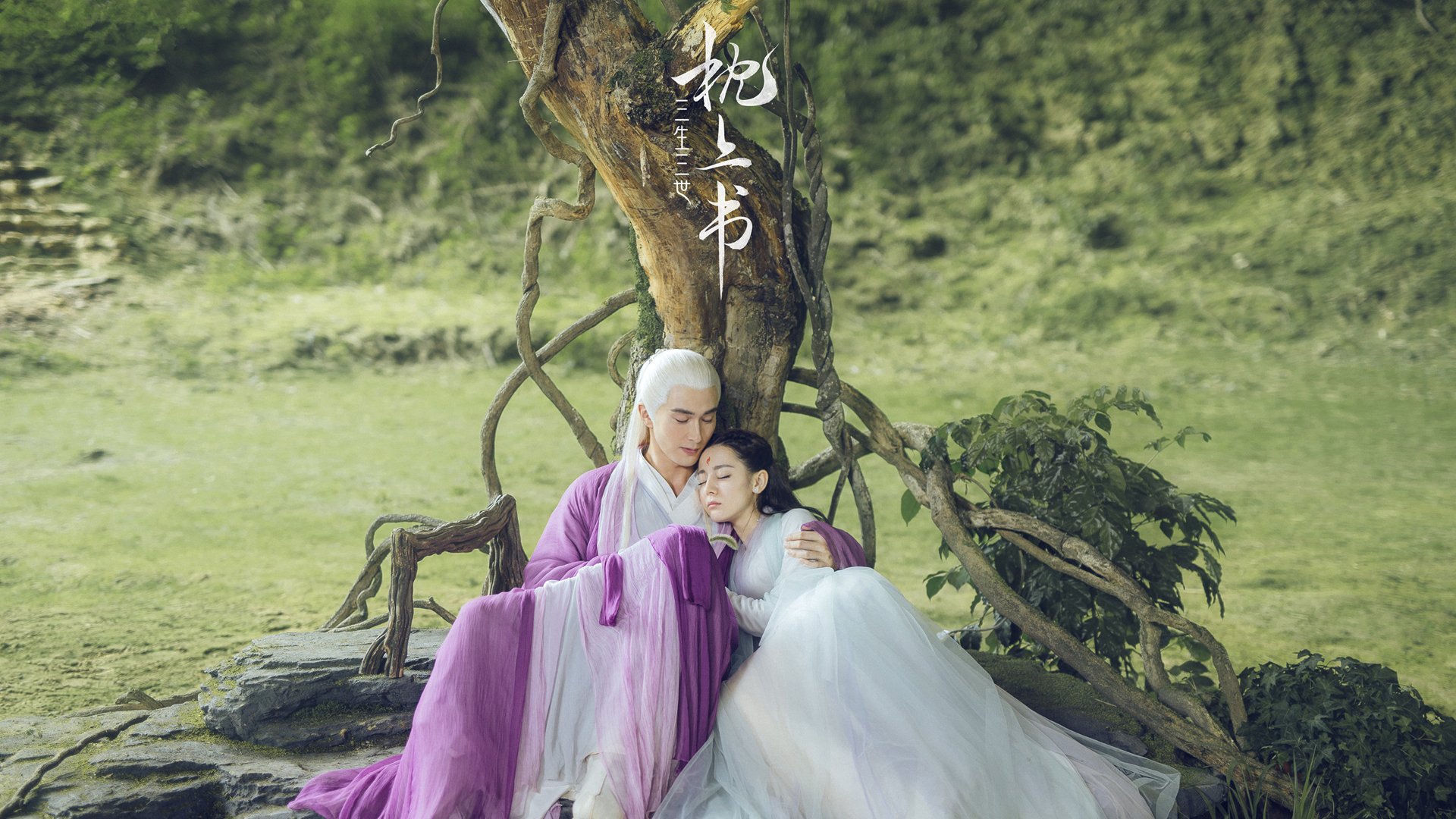 双王时代，拜仁绝杀登顶与辽篮加时憾负背后的争冠哲学