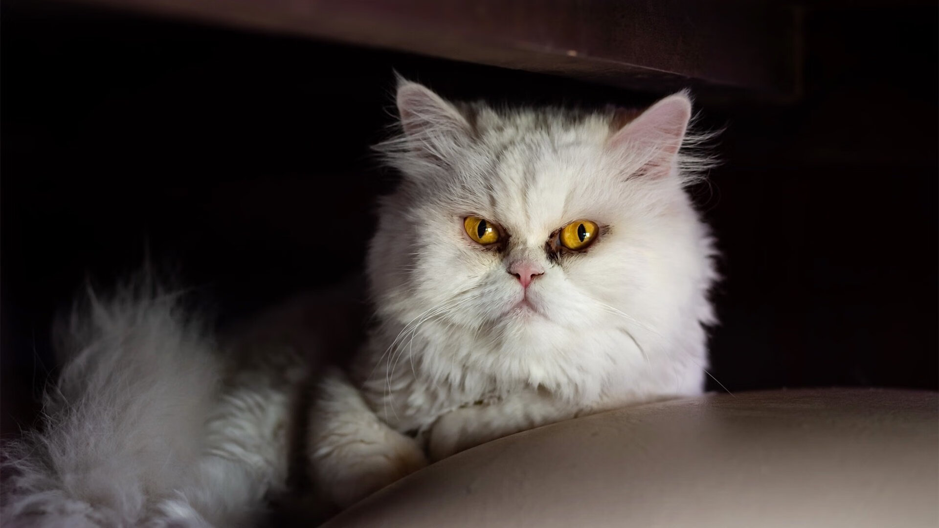 爱游戏大厅-德式节奏的裂隙，巴尔韦德的爆发与皇马非典型掌控术