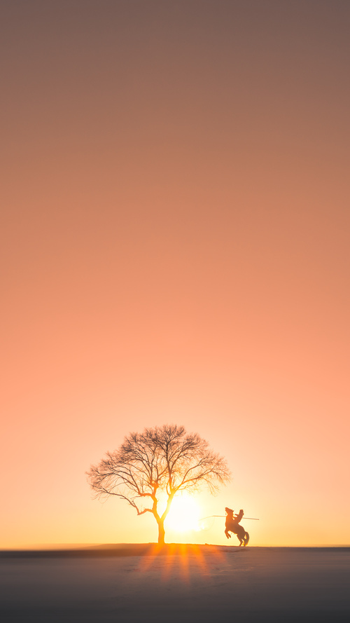 绿茵双面镜，伯纳乌的战术博弈与南美狂野的冲垮美学