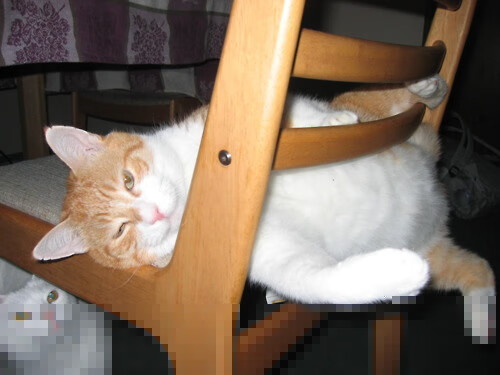 爱游戏下载-底格里斯的分支，当伊拉克的刀刃刺穿欧洲堡垒，一个法国少年在德甲河道中奔涌