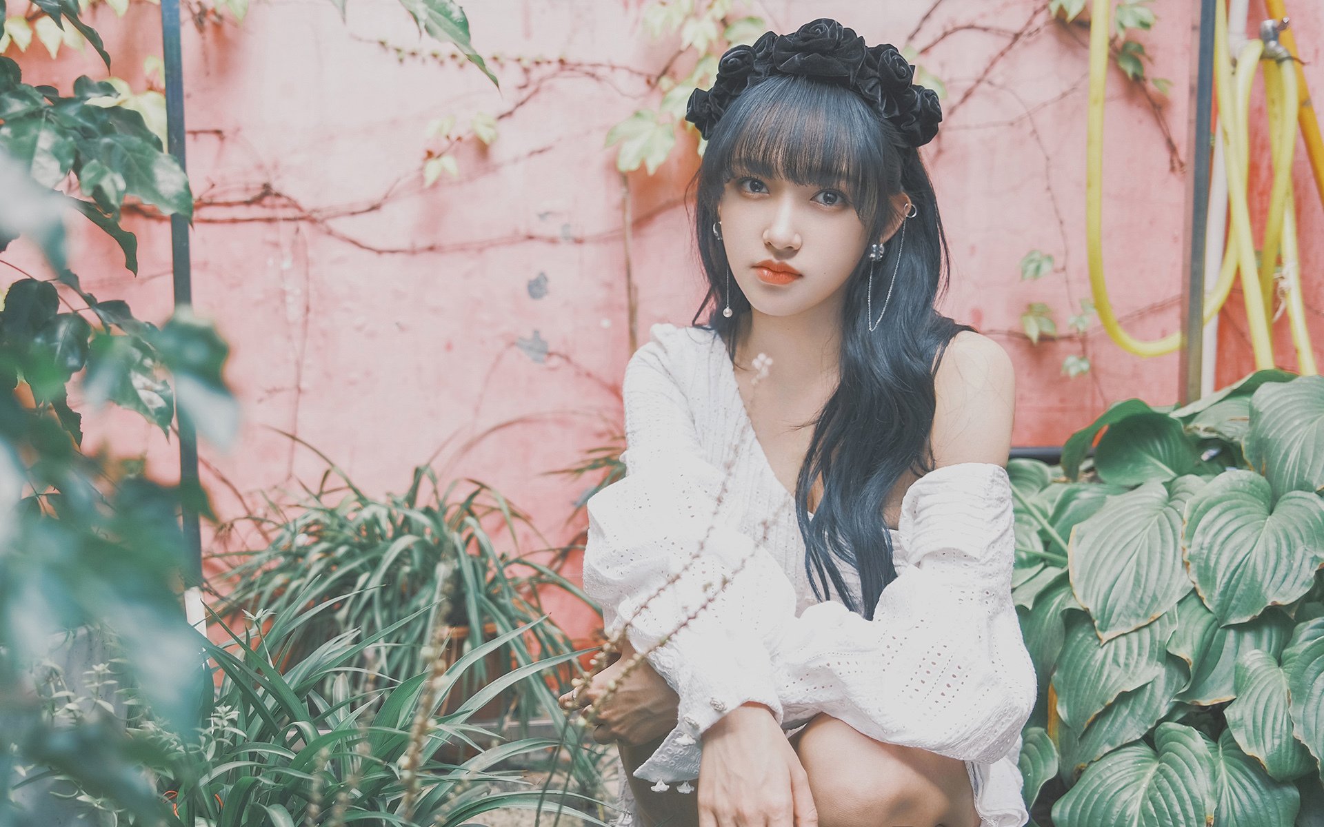 昨夜，狼群咬碎高山；那个男人，跑赢了时间