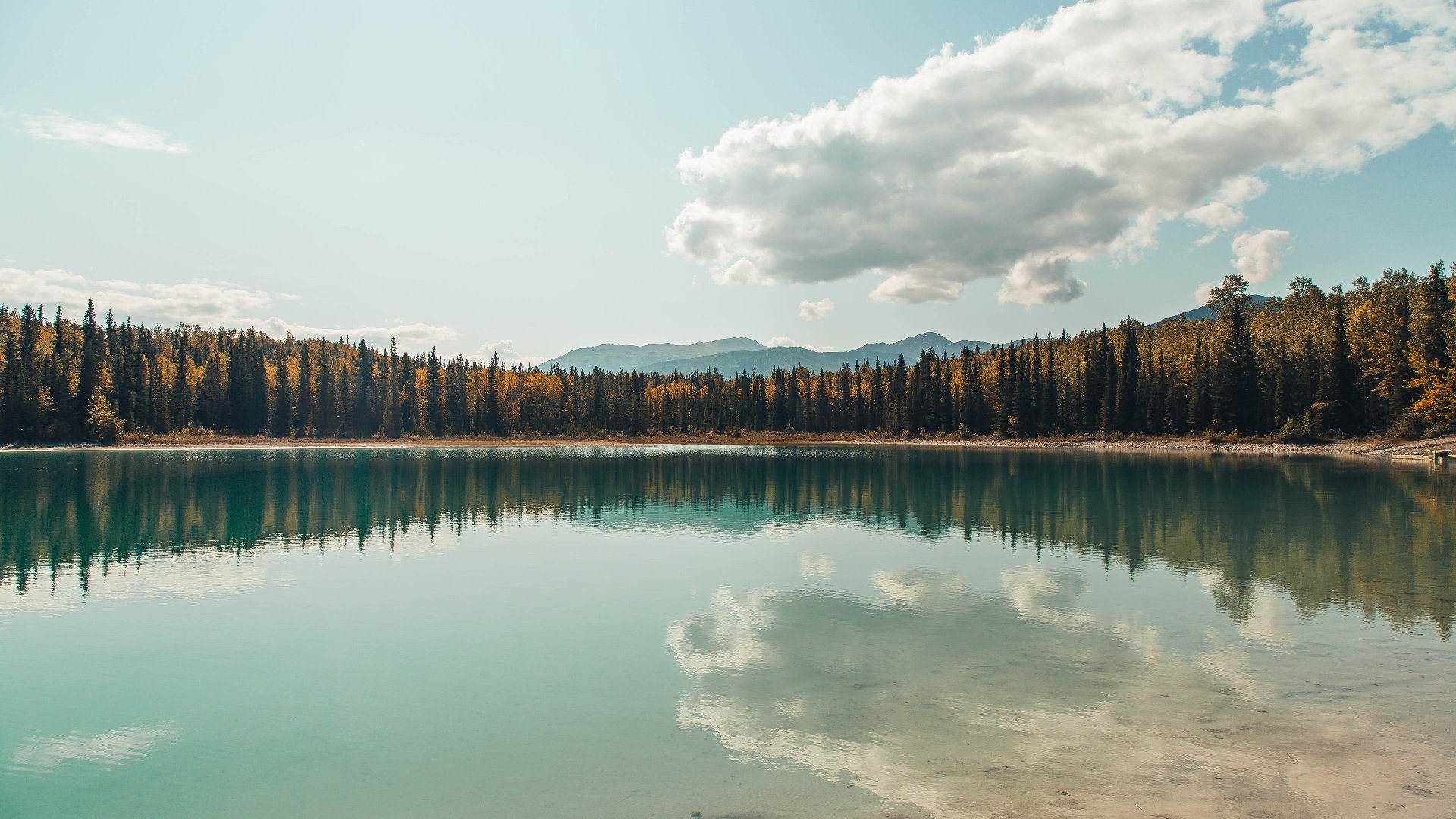 爱游戏官网-萨卡一剑封喉！尼斯鏖战擒红牛，英格兰新星导演逆袭史诗