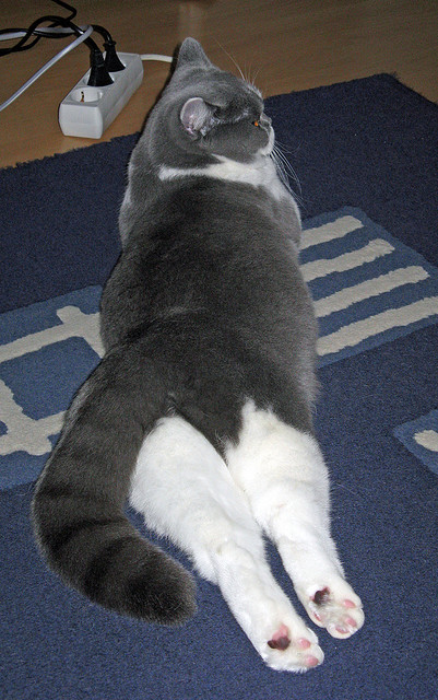 爱游戏官方-卢卡库防守端锁死对手，中国提前终结悬念力克比利亚雷亚尔