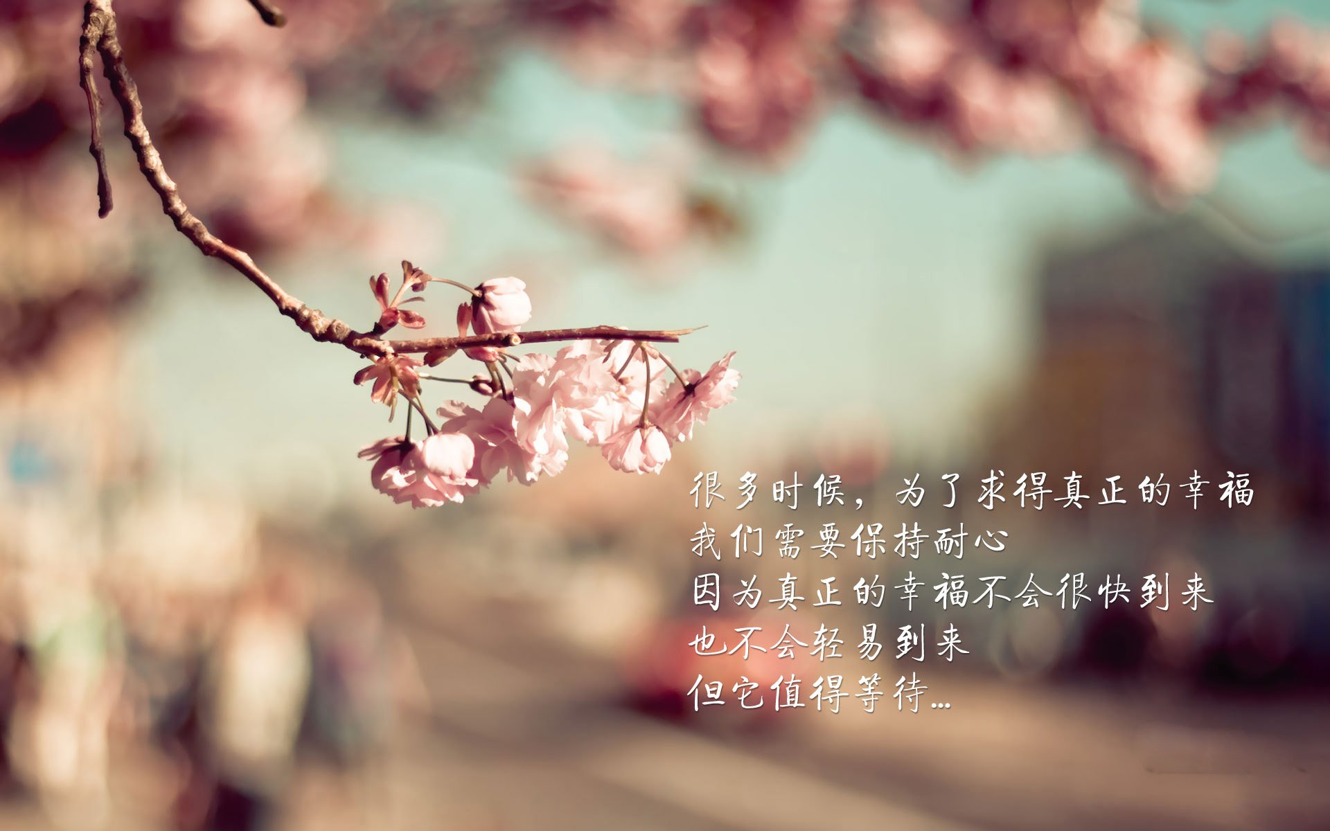 爱游戏官网-多瑙河畔的复仇，2026世界杯，匈牙利用一场完胜为两年前雪耻
